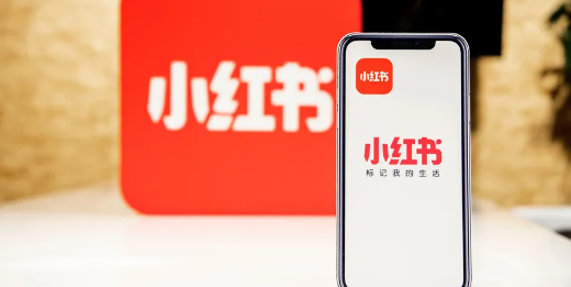 度量“种草”，小红书要更赚钱 | 回首2024